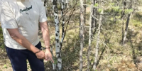 JPEG Файл - УМВД по Ханты-Мансийскому АО - Югре