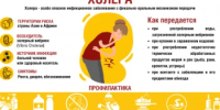 Холера: что такое, как лечить, как не заразиться - Кувандыкский городской округ