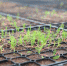 Предприятия Якутии направили более 20 млрд рублей на охрану окружающей среды - Якутское-Cаха ИА