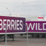 Работа складов Wildberries в Петербурге приостановлена - M24.Ru