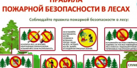 Берегите лес от пожаров!. - Администрация района