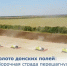 Уважаемые земляки, делимся оперативной сводкой с полей нашего района. - Морозовский район