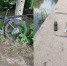 В Альшеевском районе ведутся поиски пропавшего в воде мальчика - Хайбуллинский район