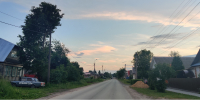 Дикие животные часто появляются на восьми дорогах Марий Эл - Газета Йошкар-Ола