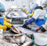Красноярская компания оптимизирует производство рыбной продукции с помощью бережливых технологий. - Город Ачинск