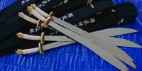 Еще 20 школ Вологодской области получили инвентарь для занятий ушу - ProGorod35.Ru