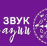 Вологодских музыкантов приглашают на фестиваль современной этники «Звук Евразии» (18+) - Вологда.РФ