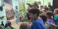 От истории до микроискусства: один день в Карасукском краеведческом музее - Карасукский район