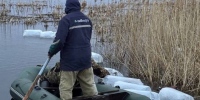 В озёрах пелядь, карп и щука - Газета Вперед