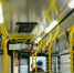 Пять автобусов изменили маршруты на Московском шоссе - Metro Петербург