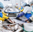Красноярская компания оптимизирует производство рыбной продукции с помощью бережливых технологий. - Мотыгинский район