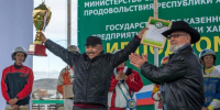 Всероссийский рекорд установил гнедой жеребец из Хакасии - Абакан 24