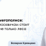 Букашка, которая меняет жизнь: можно ли подцепить энцефалит в Москве - ФГАУ ЛРЦ