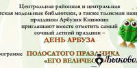 Нажмите для предварительного просмотра изображения - Быково-медиа