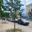 Выборг продолжают украшать  зелёными насаждениями - Vbgcity.Ru