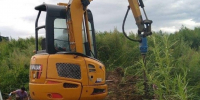 В Приамурье готовятся ликвидировать 37 бесхозяйных скотомогильников - gtrkamur.ru - ГТРК Амур