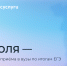 Вузы Пермского края завершают приём документов от поступающих по итогам ЕГЭ - Министерство информразвития и связи