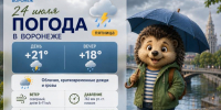 Воронежцев ждут дождливые выходные: прогноз погоды на три дня - Bloknot-Voronezh.Ru