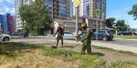 Сезонные работы по покосу травы проходят на территории района - Администрация г. Барнаул