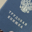 Минтруд назвал самые высокооплачиваемые профессии России - ТИА