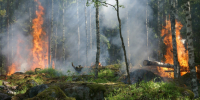 Тематическое фото Сайт pxhere.com - AmurMedia.Ru