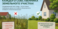 Администрация муниципального образования поселок Мстера напоминает о необходимости покоса травы и своевременной уборки придомовых территорий - Поселок Мстера