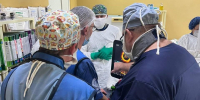 Орловские врачи ювелирным способом остановили смертельное кровотечение - Орловский Вестник