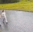 Девочки попали на видео | Источник: УМВД России по городу Архангельску - 29.Ru