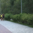 photo - ОМЕДИА!
