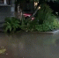 Фото очевидцев - News29.Ru