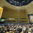 Election of five non-permanent members of the Security Council - ИА Общественная служба новостей