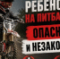 Госавтоинспекция предупреждает: выезд на питбайках (мини-мотоциклах) на дороги общего пользования СТРОГО ЗАПРЕЩЕН и смертельно опасен!. - Красноборский муниципальный округ