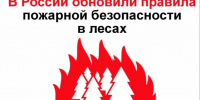 С 1 сентября 2026 г. обновляются правила пожарной безопасности в лесах.. - Красноборский муниципальный округ