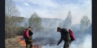 Леса под двойным контролем: в Новосибирской области усилен мониторинг пожароопасной обстановки - Министерство природных ресурсов и экологии