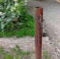 IMG_20250705_201055 - Рязанские ведомости
