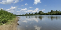 Почему в Тюмени вонючая вода: аммиак «течет» к нам из  Свердловской области? - MegaTyumen.Ru