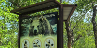 Туристов призывают воздержаться от посещения горного массива Вачкажец до 27 июля - Правительство Камчатского края