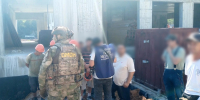 В Самарской области в теплицах и на складах нашли мигрантов-нарушителей - TLT.Ru