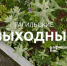 Тагильские выходные, топ-6: съёмка в кино для всех желающих, уральский рэп, встреча с профессором Стэнфордского университета, парад рыжих и погружение в роман «Вегетарианка» - Между Строк