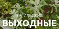 Тагильские выходные, топ-6: съёмка в кино для всех желающих, уральский рэп, встреча с профессором Стэнфордского университета, парад рыжих и погружение в роман «Вегетарианка» - Между Строк