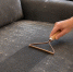 Россияне оказались умнее клинеров: скупают на Ozon скребок для удаления шерсти и катышек — новый хит для уборки ковров и диванов - Pg13.Ru