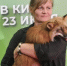 Подмосковная кинозоостудия из Каширы покорила Москву: на премьере фильма «Мой дикий друг» по красной дорожке прошла лиса - MosRegToday.Ru