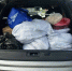 Полиция Бурятии изъяла у жителя Иркутска партию незаконно добытого омуля на 1,3 млн рублей - ВостокТелеИнформ