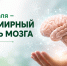Здоровый мозг — основа активной и долгой жизни - ИА Грозный-информ