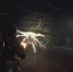 Объявлена дата выхода шутера Aliens: Fireteam Elite 2 по вселенной «Чужих» - Кубанские Новости
