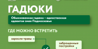Как ружанам защитить себя от укуса змеи на даче и в лесу - РузаРИА