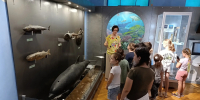 Центральный музей Тавриды проводит культурно-просветительские мероприятия для школьников - Минкультуры Республики Крым