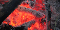 В Новосибирской области усилили контроль за пожарами в лесах - Gorsite.Ru
