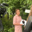 В эфире телеканала «Город» вышел репортаж о наблюдениях за численностью популяции непарного шелкопряда - Рослесозащита Рязанской области