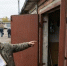 Фото: сгенерировано с помощью ИИ - Вологда-поиск